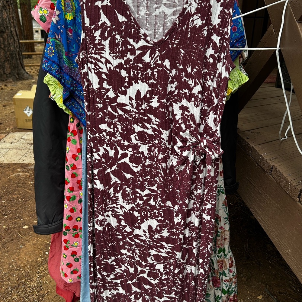 Amour Vert Maroon and White Patterned Dress